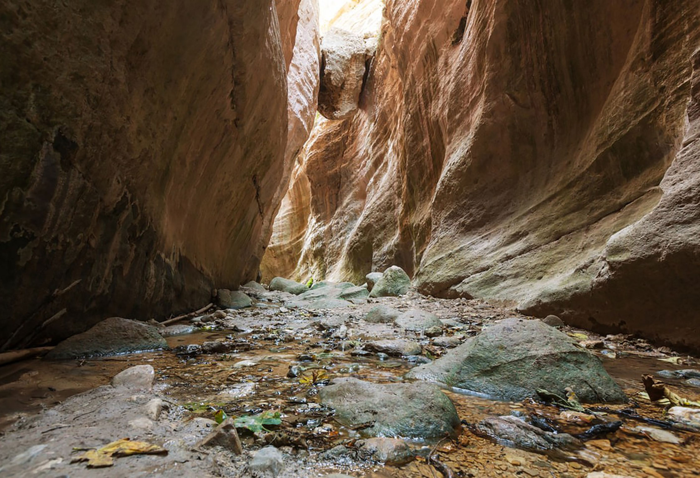 03236349447a84225b0b01aab97b889f