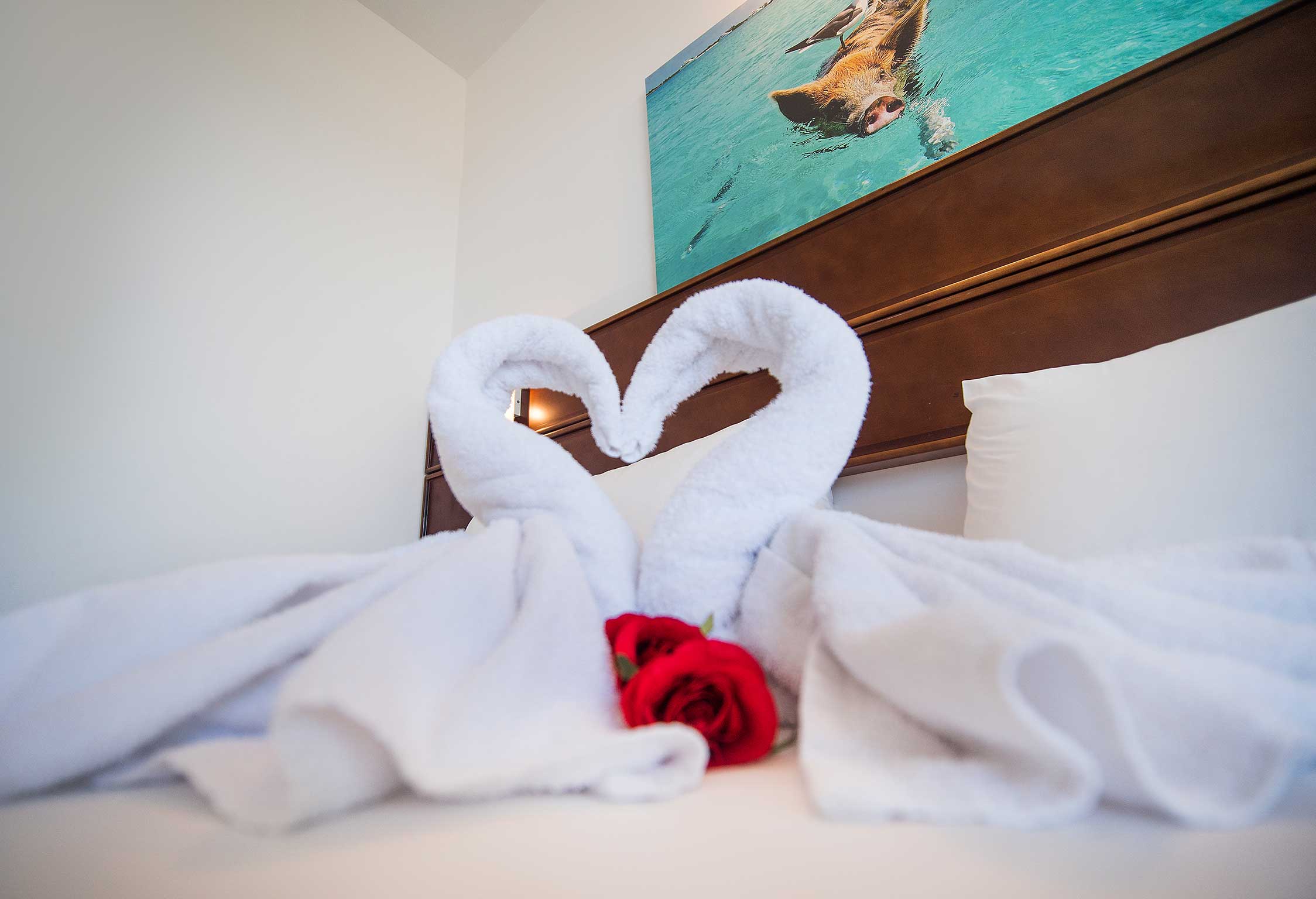 dc7c79195ab21d76e016fce50ae69f0c